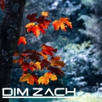 dim zach